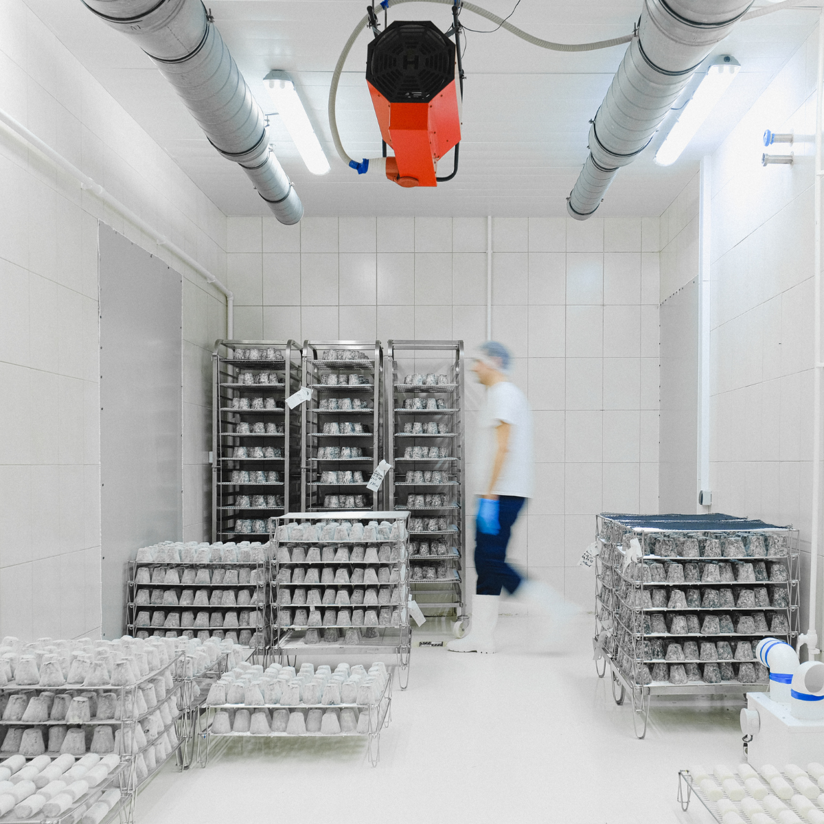 A Guide to Cold Chain Packaging Solutions for Pharmaceuticals